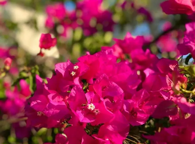 Вилла Nautique - Waterfront Сивота